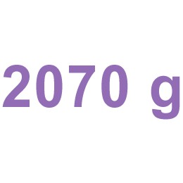 2070 g